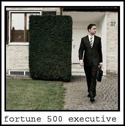 fortune 500 exec