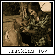 Tracking Joy