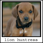 lion huntress